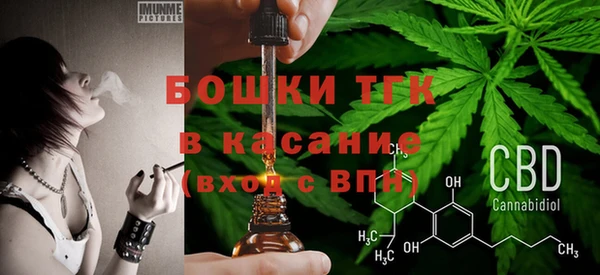 дживик Баксан