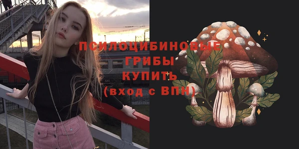 дживик Баксан
