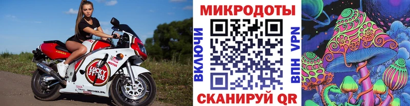 купить Солнечногорск блэк спрут ссылка Псилоцибиновые грибы GOLDEN TEACHER